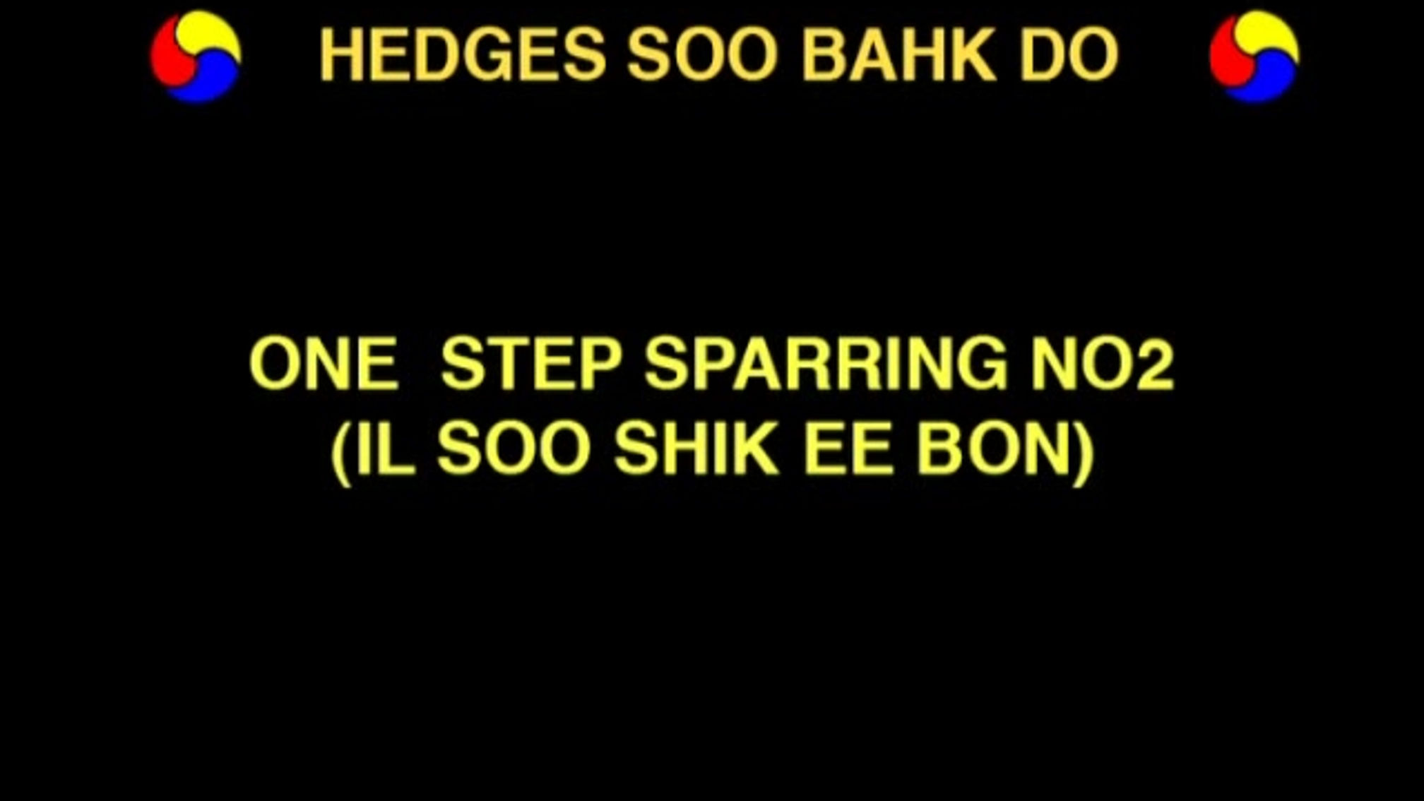 One Step Sparring 1+2